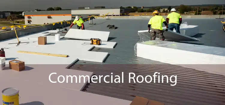 Commercial Roofing 