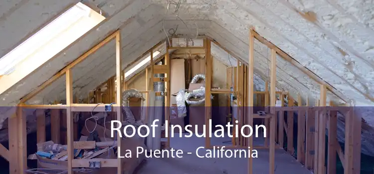 Roof Insulation La Puente - California