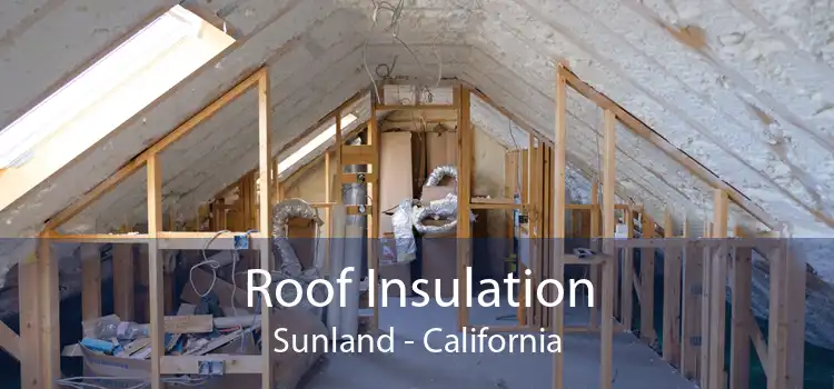 Roof Insulation Sunland - California