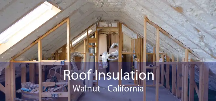 Roof Insulation Walnut - California