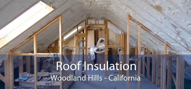 Roof Insulation Woodland Hills - California
