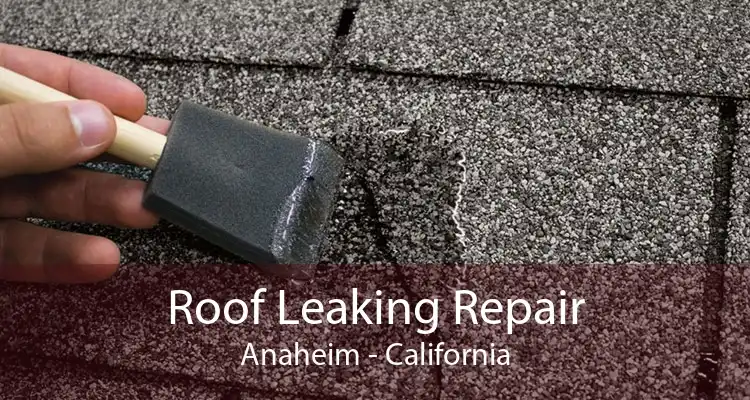 Roof Leaking Repair Anaheim - California