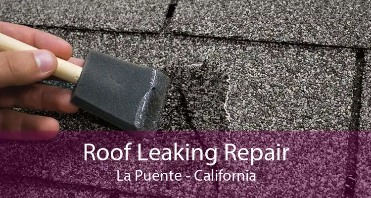 Roof Leaking Repair La Puente - California