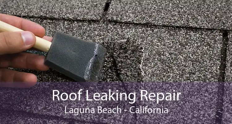 Roof Leaking Repair Laguna Beach - California