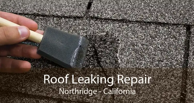 Roof Leaking Repair Northridge - California