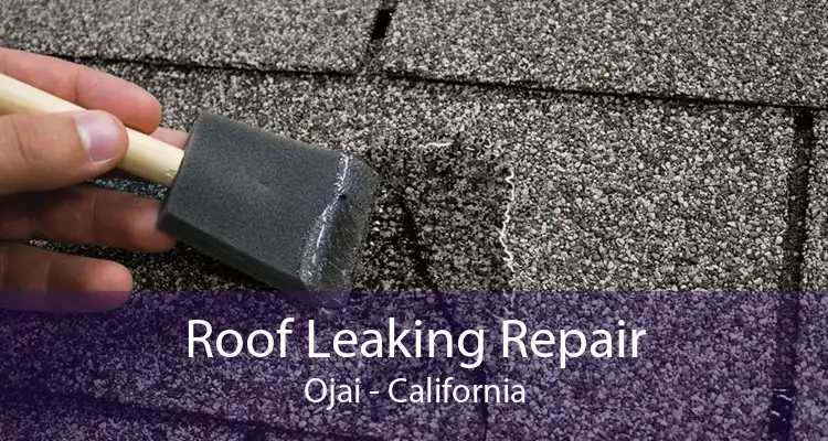 Roof Leaking Repair Ojai - California