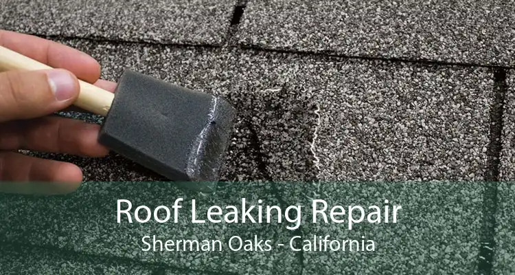 Roof Leaking Repair Sherman Oaks - California