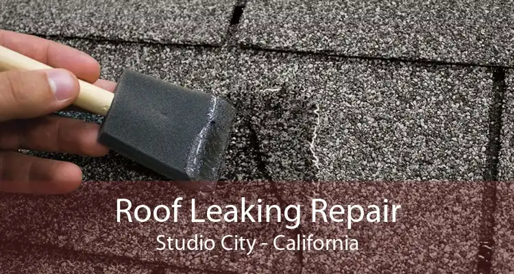 Roof Leaking Repair Studio City - California