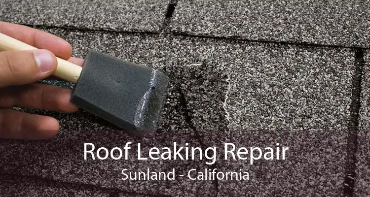 Roof Leaking Repair Sunland - California