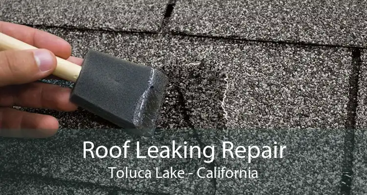 Roof Leaking Repair Toluca Lake - California