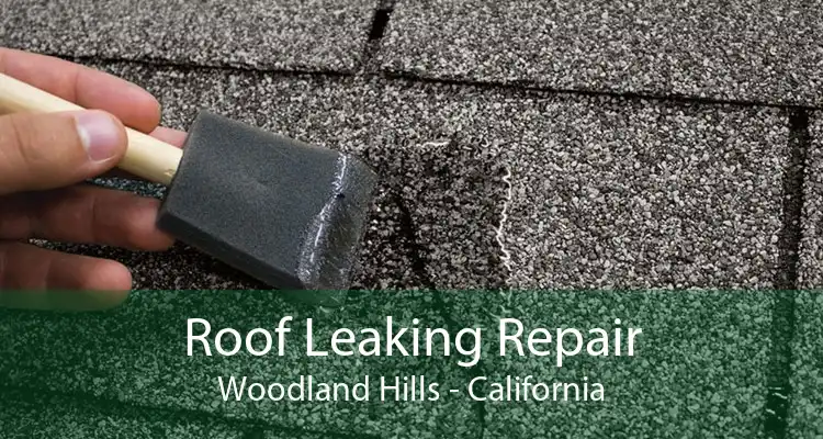 Roof Leaking Repair Woodland Hills - California