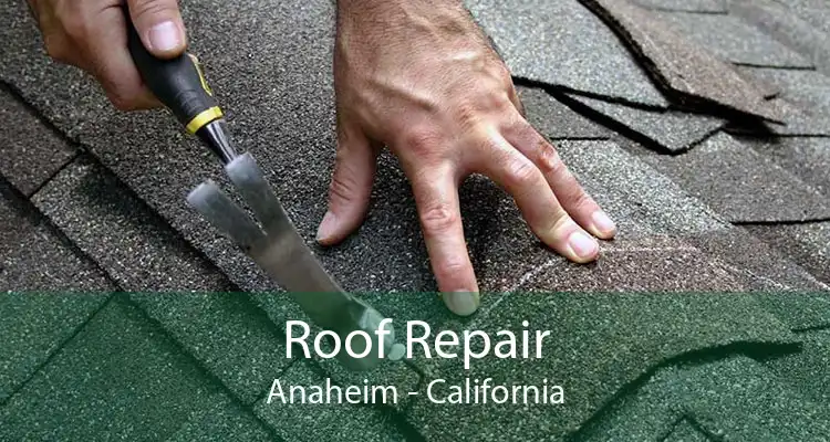 Roof Repair Anaheim - California