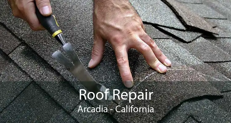 Roof Repair Arcadia - California