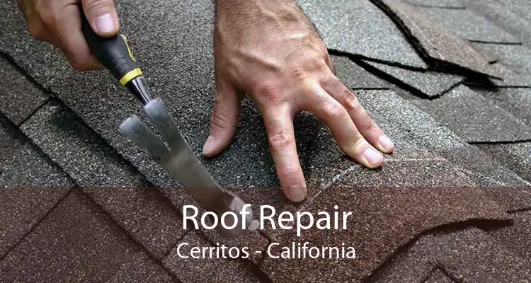 Roof Repair Cerritos - California