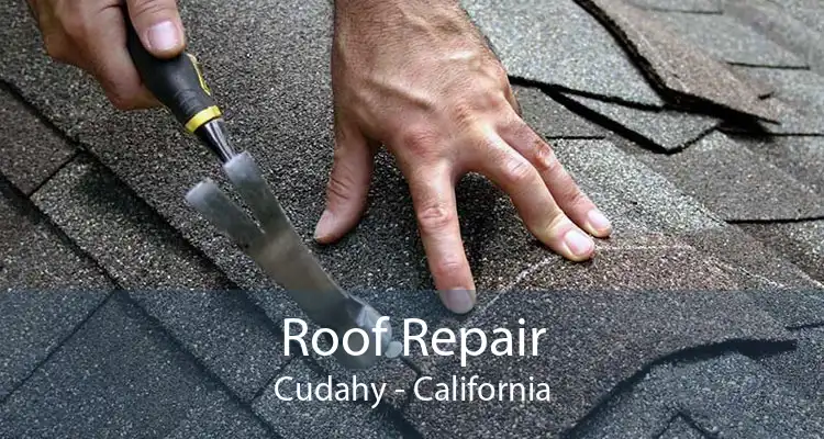 Roof Repair Cudahy - California