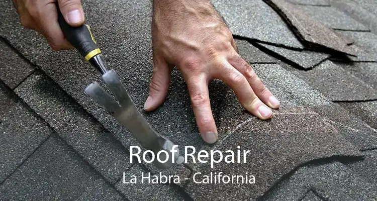 Roof Repair La Habra - California