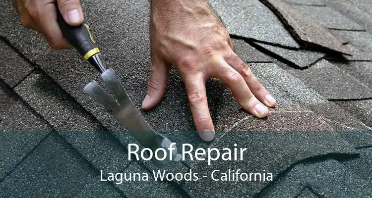 Roof Repair Laguna Woods - California