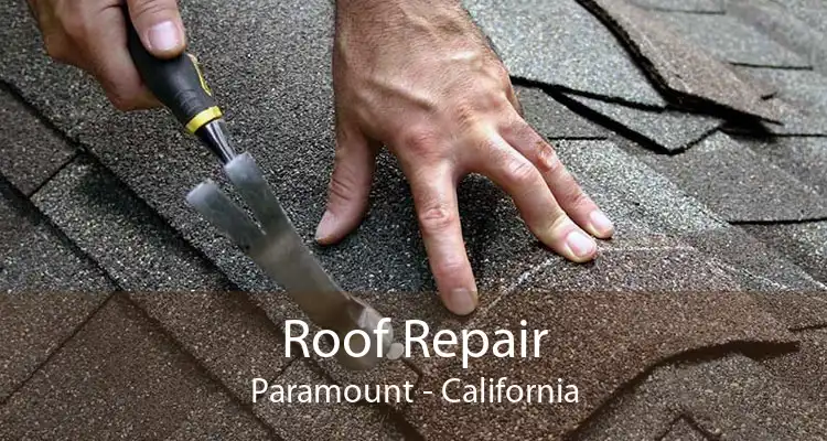 Roof Repair Paramount - California