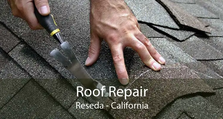 Roof Repair Reseda - California