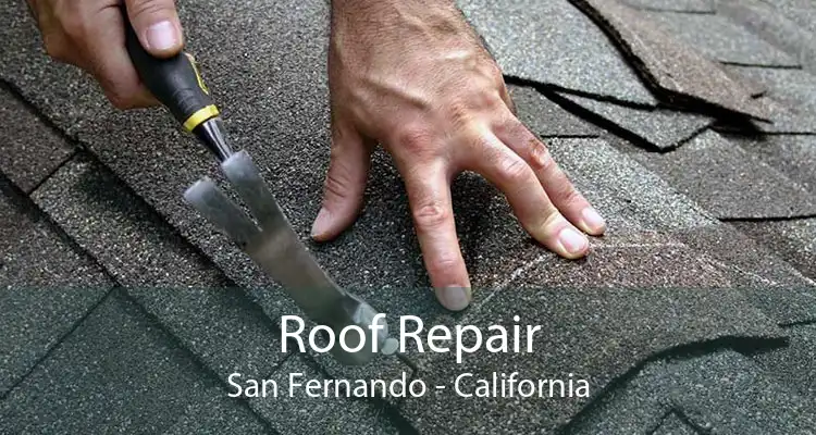 Roof Repair San Fernando - California