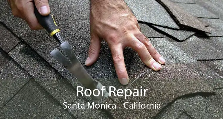 Roof Repair Santa Monica - California