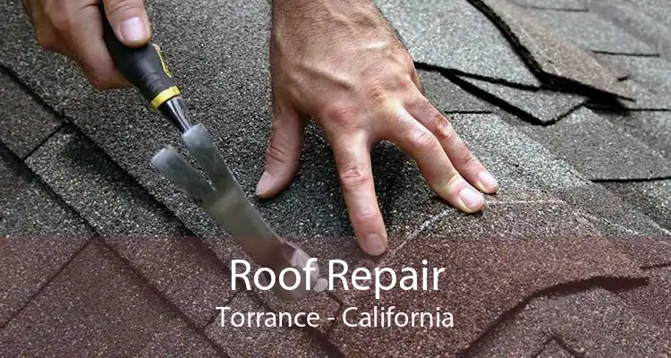 Roof Repair Torrance - California