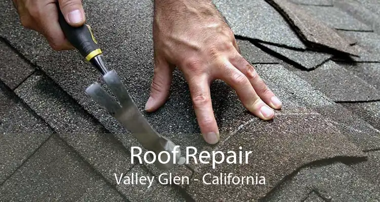 Roof Repair Valley Glen - California