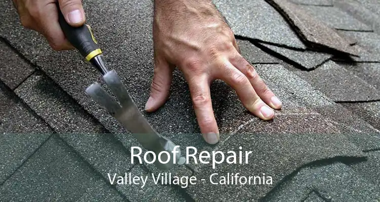 Roof Repair Valley Village - California