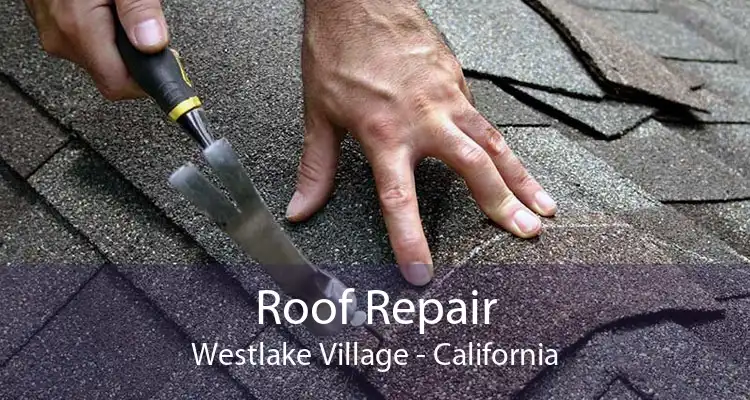 Roof Repair Westlake Village - California