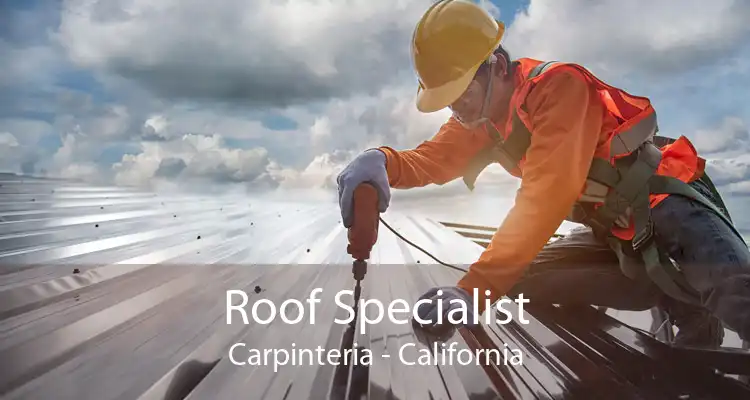 Roof Specialist Carpinteria - California