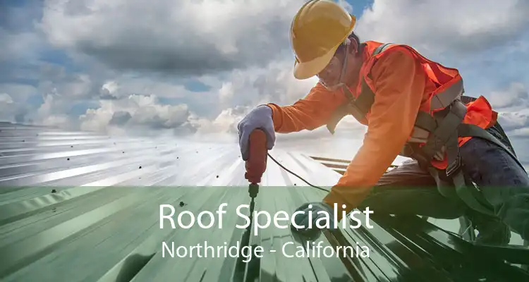 Roof Specialist Northridge - California