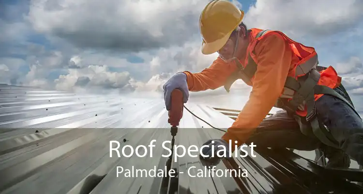 Roof Specialist Palmdale - California