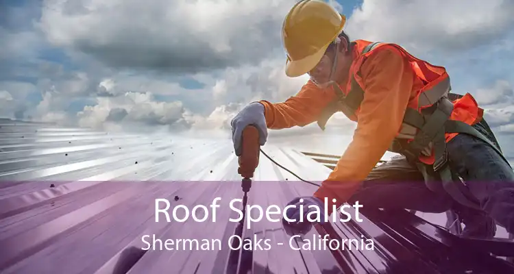 Roof Specialist Sherman Oaks - California