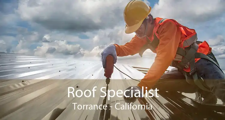 Roof Specialist Torrance - California