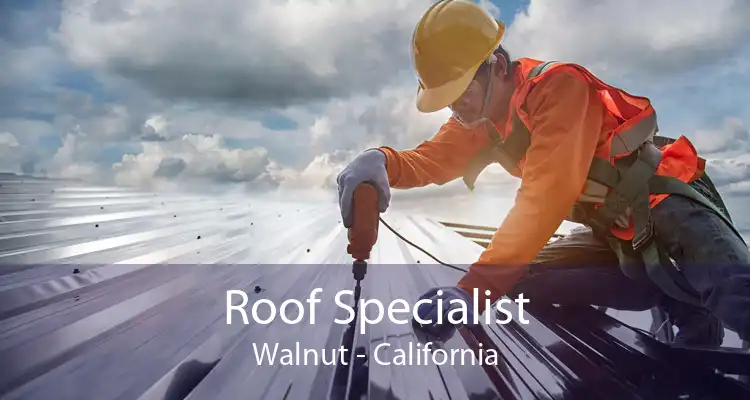 Roof Specialist Walnut - California