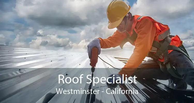 Roof Specialist Westminster - California