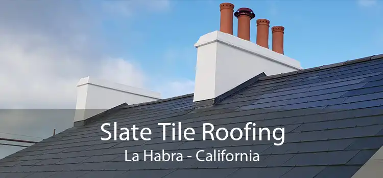 Slate Tile Roofing La Habra - California