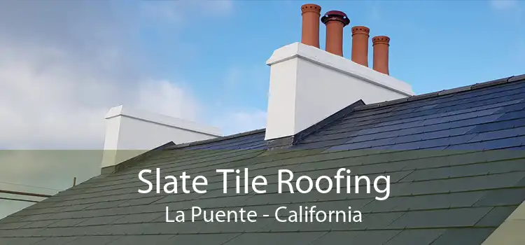 Slate Tile Roofing La Puente - California