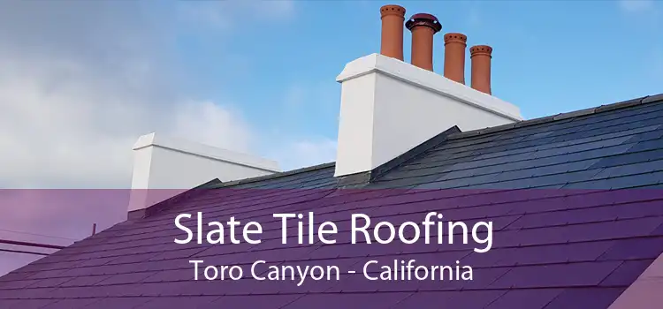 Slate Tile Roofing Toro Canyon - California