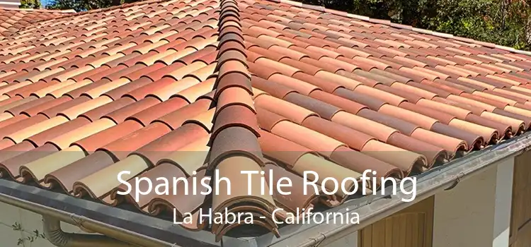 Spanish Tile Roofing La Habra - California