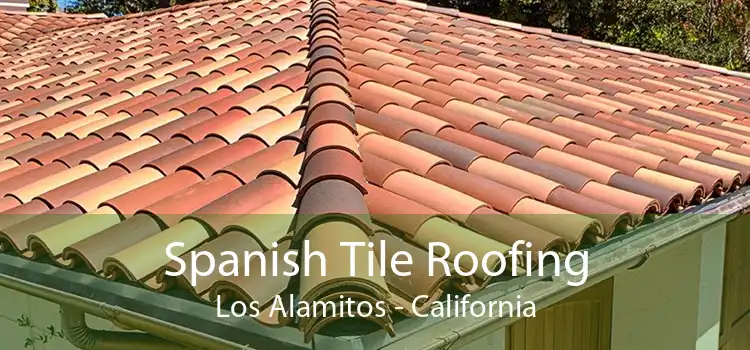 Spanish Tile Roofing Los Alamitos - California