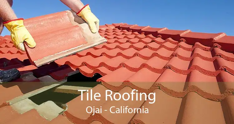 Tile Roofing Ojai - California