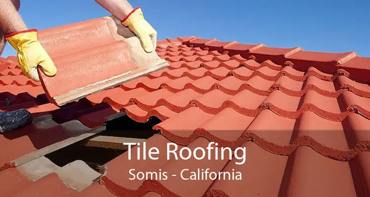 Tile Roofing Somis - California