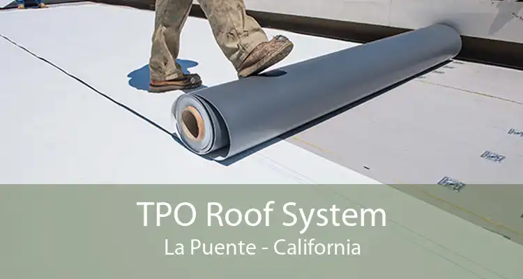 TPO Roof System La Puente - California