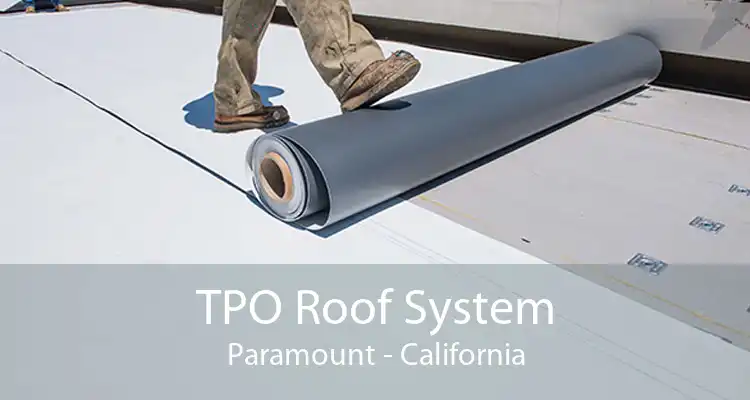 TPO Roof System Paramount - California