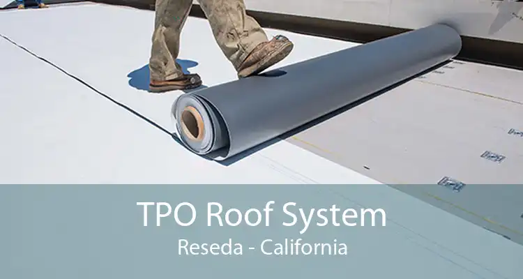 TPO Roof System Reseda - California