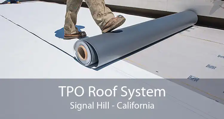 TPO Roof System Signal Hill - California