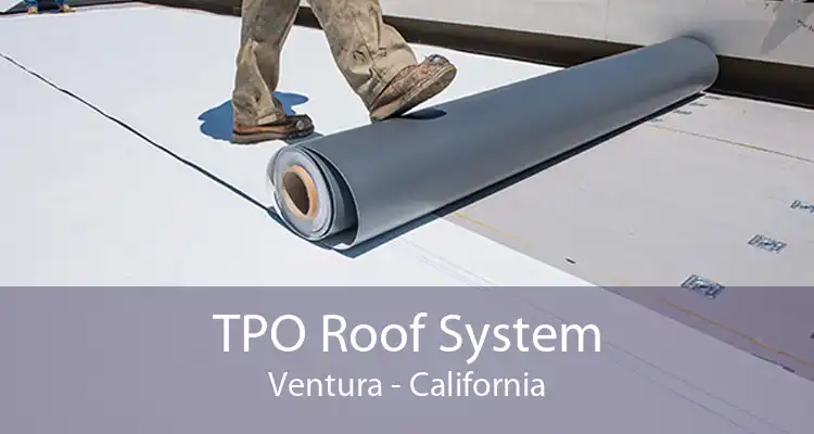 TPO Roof System Ventura - California