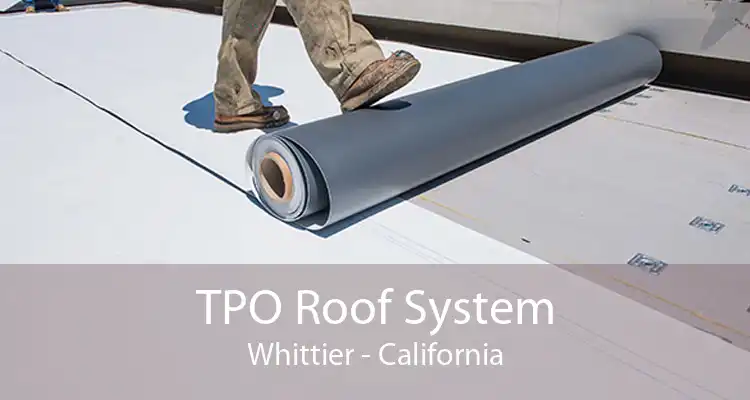 TPO Roof System Whittier - California