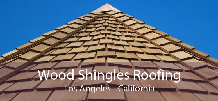 Wood Shingles Roofing Los Angeles - California